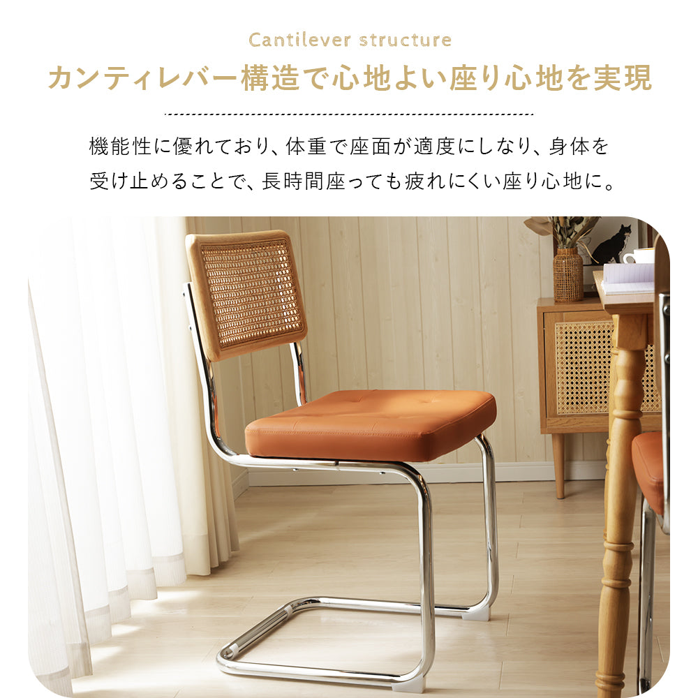 【在庫品】ラタン調ダイニングチェアsgo-n2228s